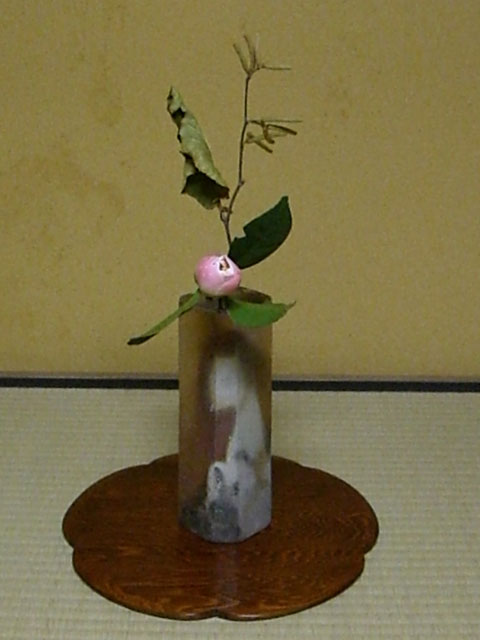 西王母 榛 茶室の花
