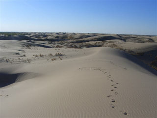 a0088577_2122268.jpg