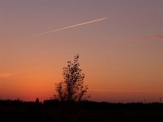 a0088577_21312.jpg