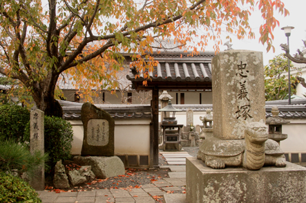 a0045381_7424019.jpg