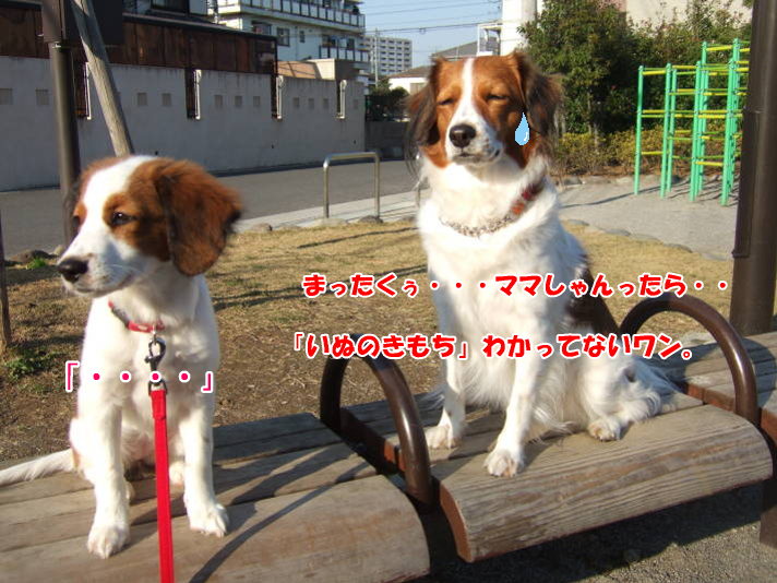 c0075585_0512431.jpg