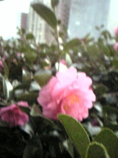 c0037701_238320.jpg