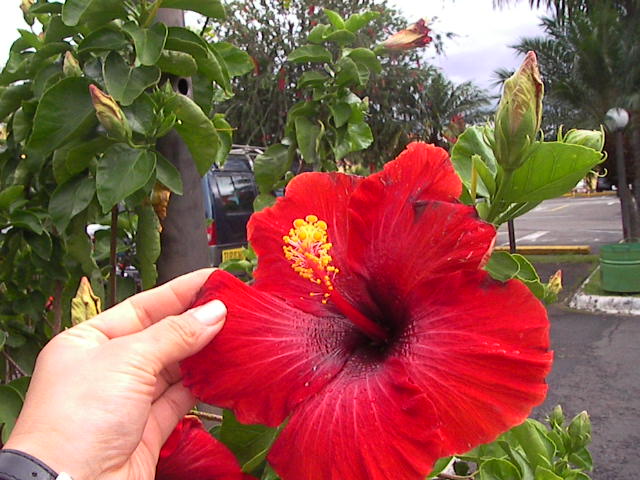 f0038407_1137353.jpg