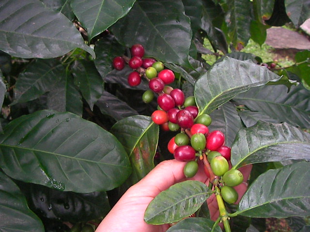 f0038407_12132710.jpg