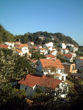 f0043911_131173.jpg