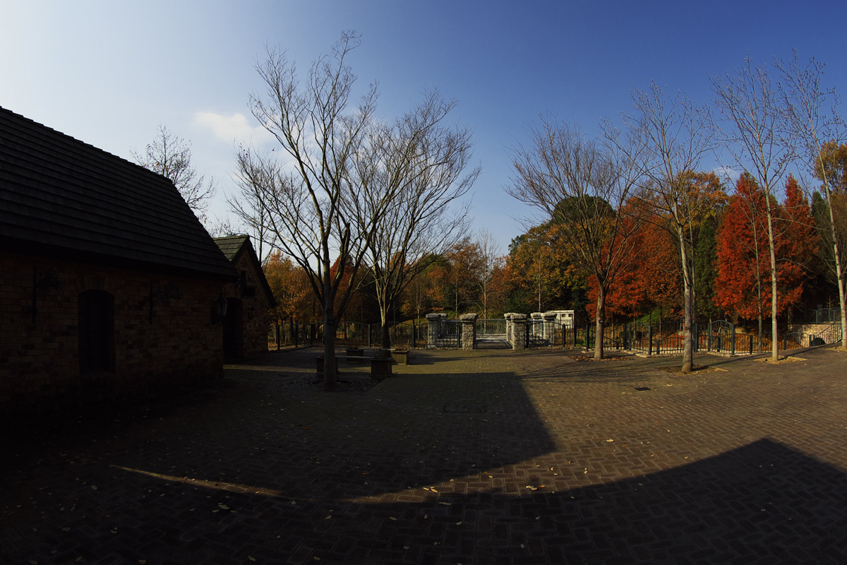 f0004525_23163796.jpg