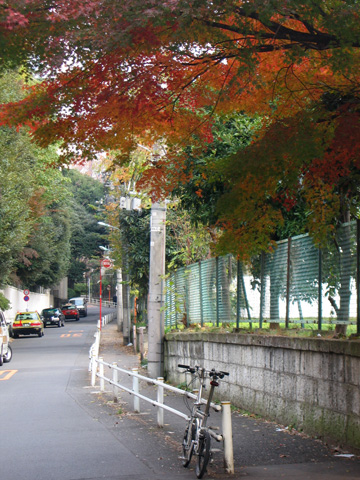 e0089826_03225.jpg