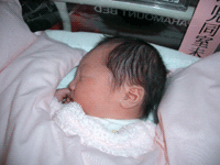 b0049029_13281793.gif