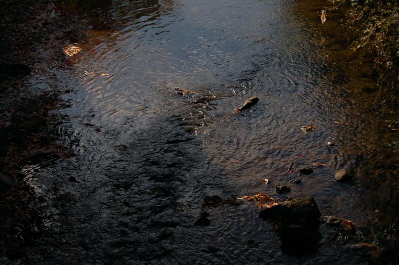 e0107030_10481320.jpg