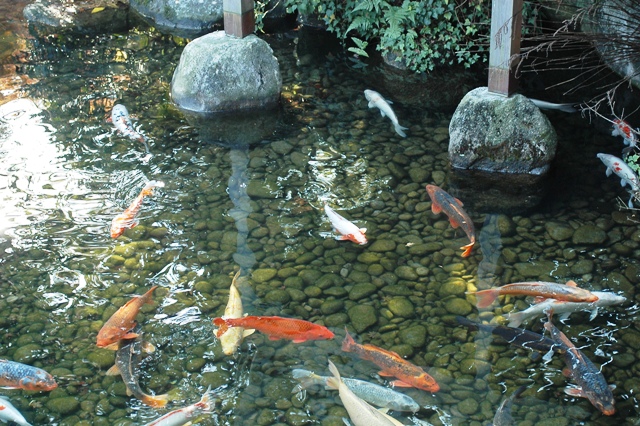f0000330_18372114.jpg