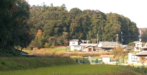 a0016431_20374743.jpg