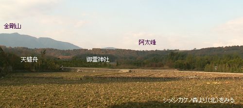 a0016431_20473533.jpg