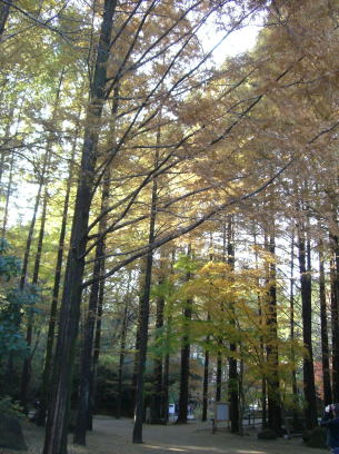 f0094843_11123928.jpg
