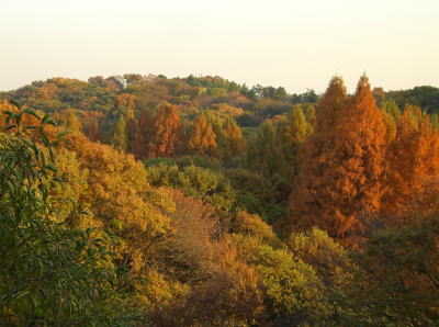 f0094843_1183495.jpg