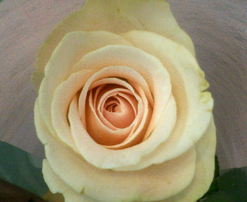 f0073848_0452293.jpg