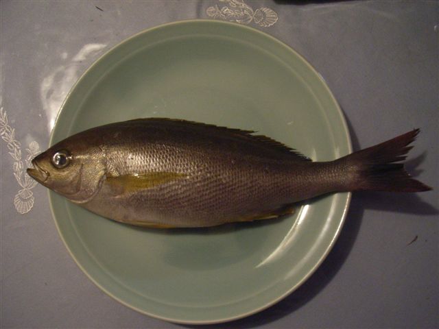 f0025351_8292726.jpg