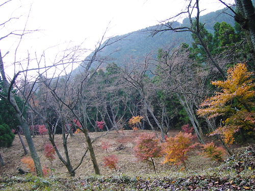 c0092152_1342681.jpg
