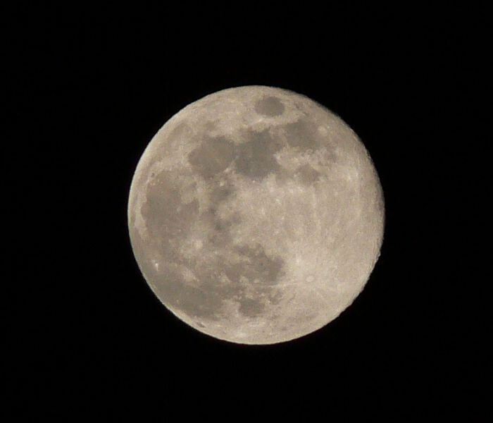 c0059854_9365114.jpg