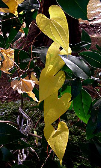 a0044076_21204021.jpg
