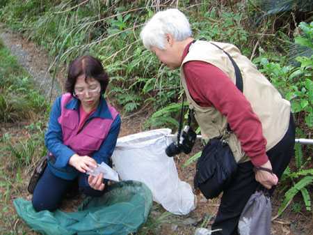蝶々婦人、ご来島。_e0028387_15161113.jpg