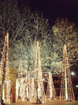 d0079988_2303497.jpg