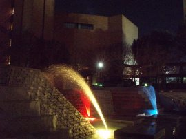 d0079988_2362298.jpg