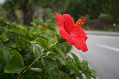 e0003090_213426.jpg