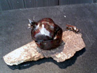 c0091294_20143397.jpg