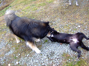 f0001698_5824.jpg