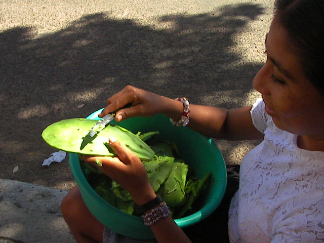f0038407_16171676.jpg