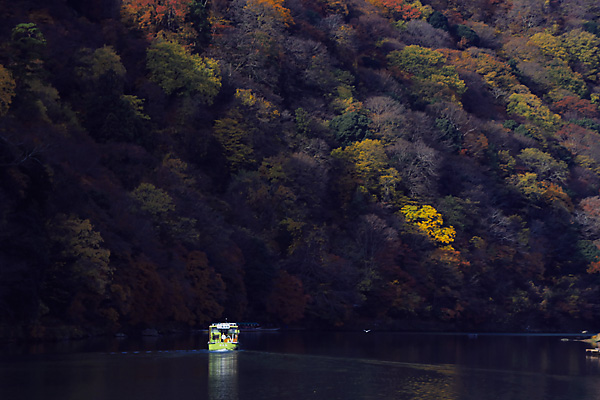 京都　嵐山の紅葉_b0010915_21524348.jpg