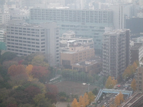 e0093518_1446538.jpg