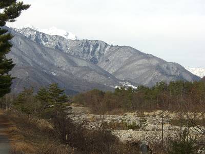 d0065324_17383793.jpg