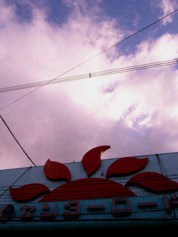 c0032138_1749284.jpg