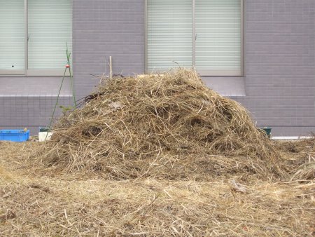 雑草堆肥の作り方 なつかしい未来への道 雑草堆肥の作り方 なつかしい未来への道