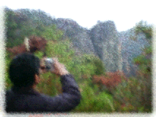 f0101759_19264339.gif
