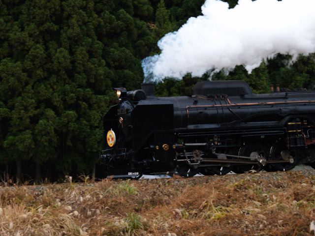 b0069761_22504486.jpg