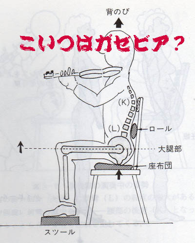 おいおい、誰だ？正しい姿勢が腰にいいって言ってたヤツは？_b0035080_173015.jpg