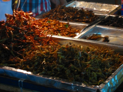 f0103484_22131372.jpg