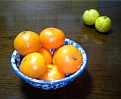 c0095091_1234577.jpg