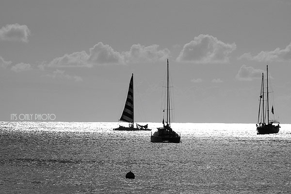 e0008800_031014.jpg