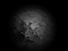 f0106000_11384399.jpg