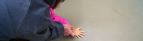 c0039501_16592570.jpg