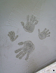 c0039501_16593551.jpg
