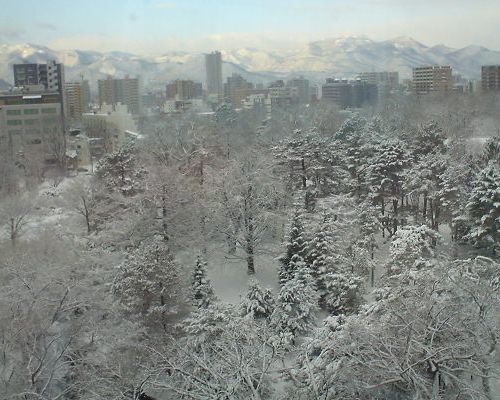 雪景色へ_d0017205_8303018.jpg