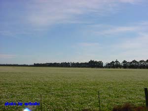 a0079306_15232283.jpg