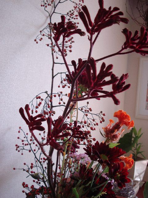 f0084806_842439.jpg