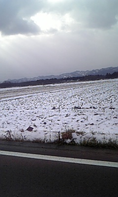 d0005807_1624066.jpg