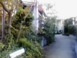 a0087111_9392172.jpg