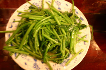 c0044024_0302475.jpg